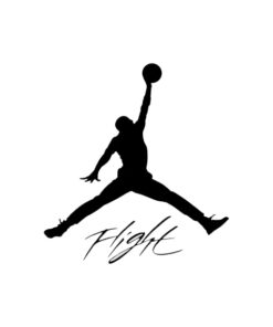 Giày Nike Jordan